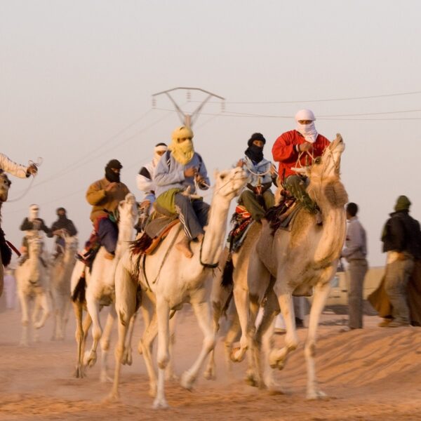 camel, race, algeria-836152.jpg